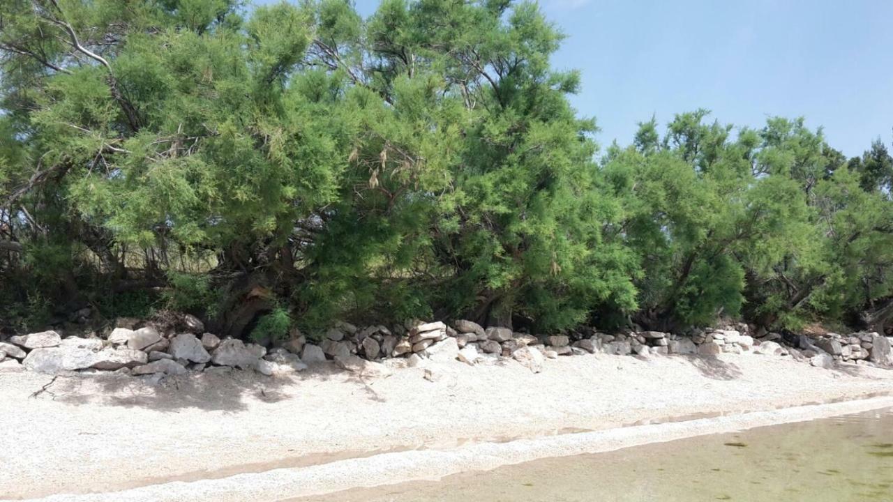 Apartmani NEVA, Pridraga Bagian luar foto